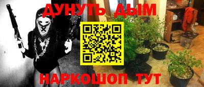 дживик Бийск