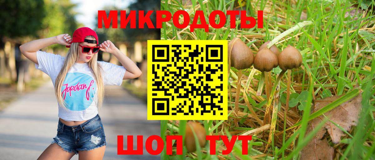Псилоцибиновые грибы GOLDEN TEACHER  Вход с VPN  Борзя 